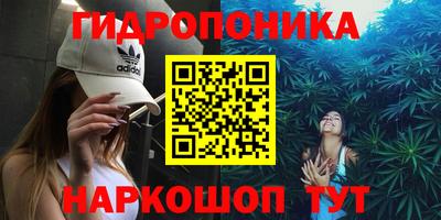 герыч Новодвинск